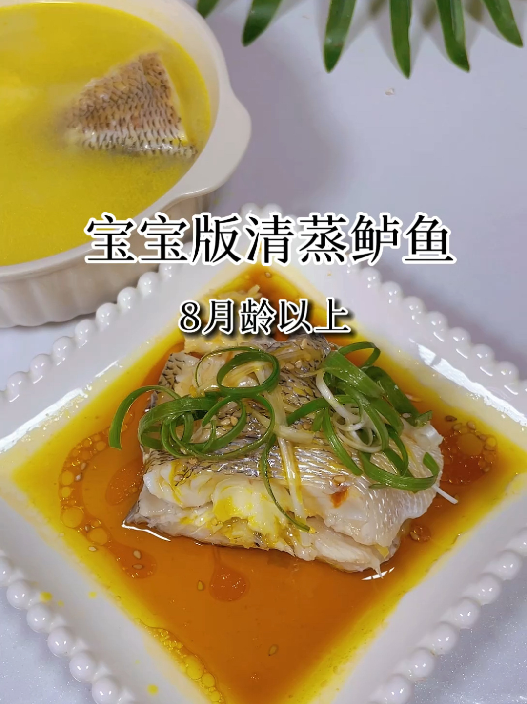 8月龄宝宝辅食|清蒸鲈鱼·奶白鲈鱼汤