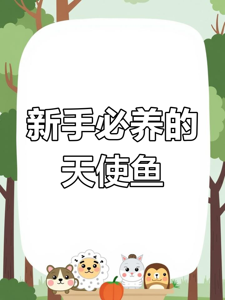 天使鱼:最适合新手的养不死之选