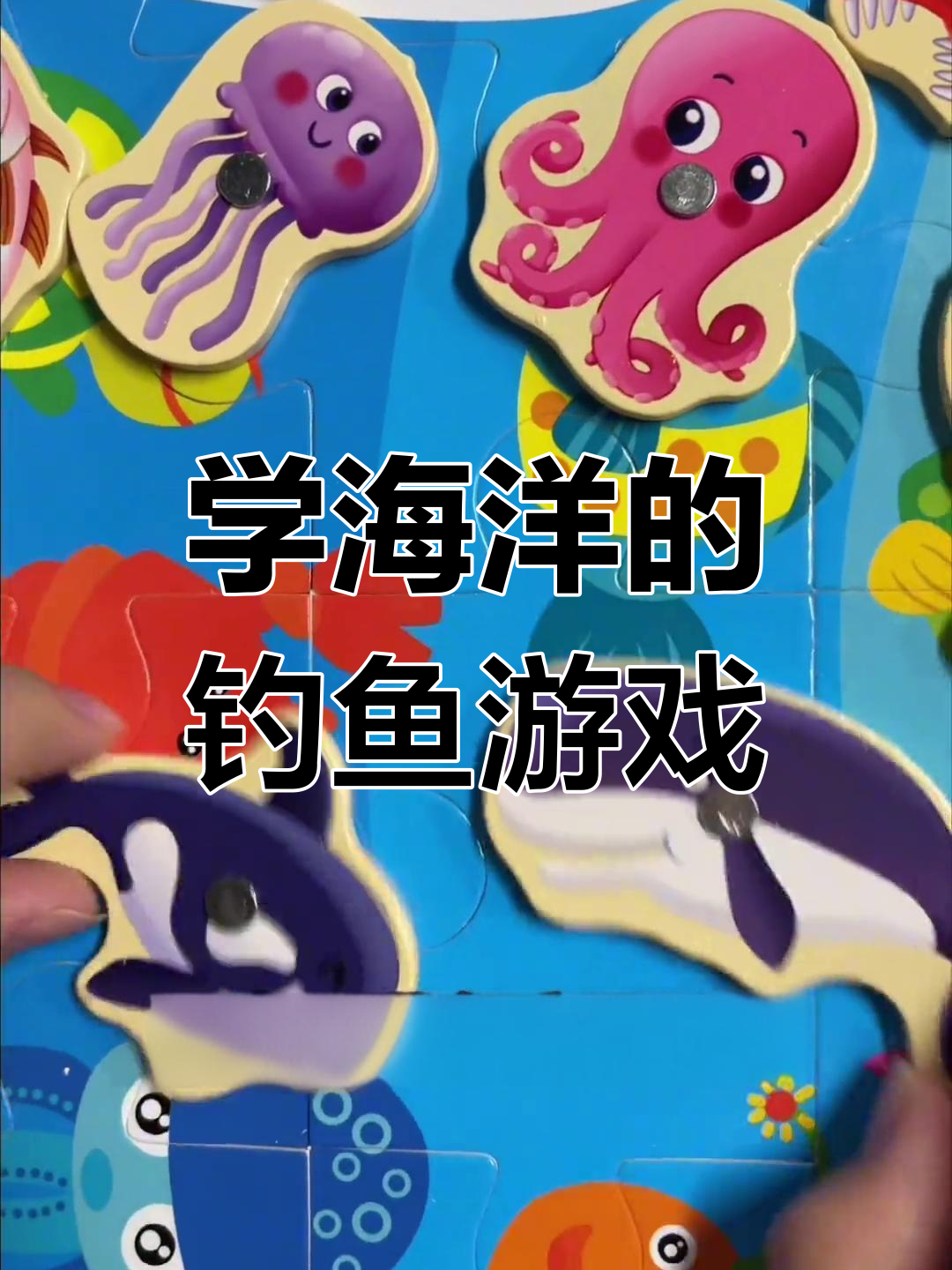 钓鱼玩具让孩子轻松学海洋生物