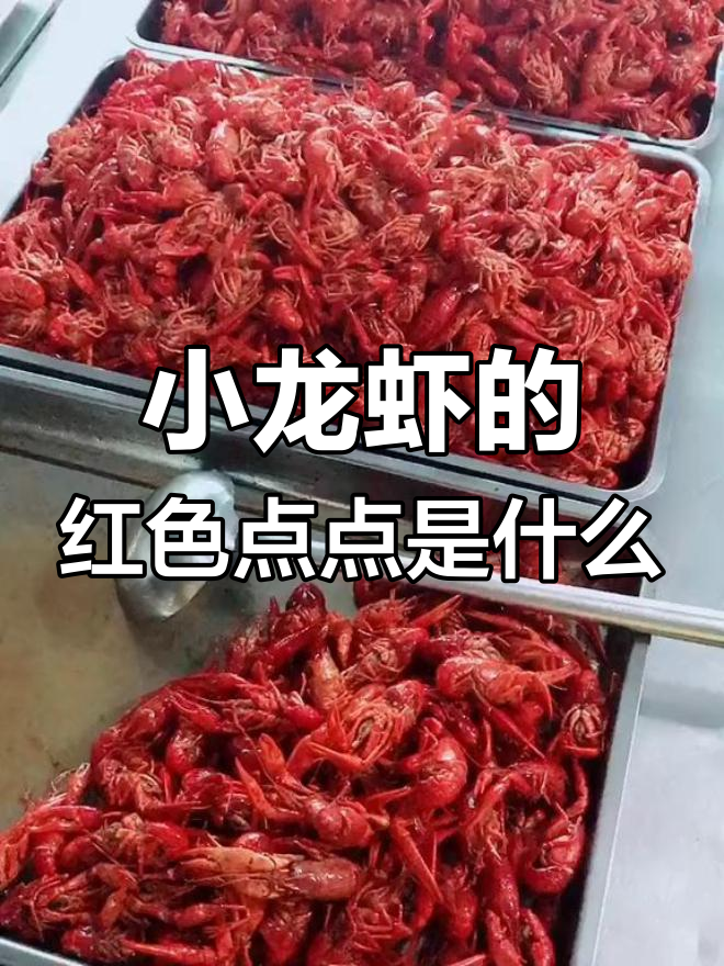 小龙虾产卵季,虾籽能吃吗?