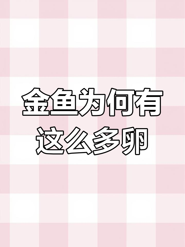 金鱼产卵的惊人真相