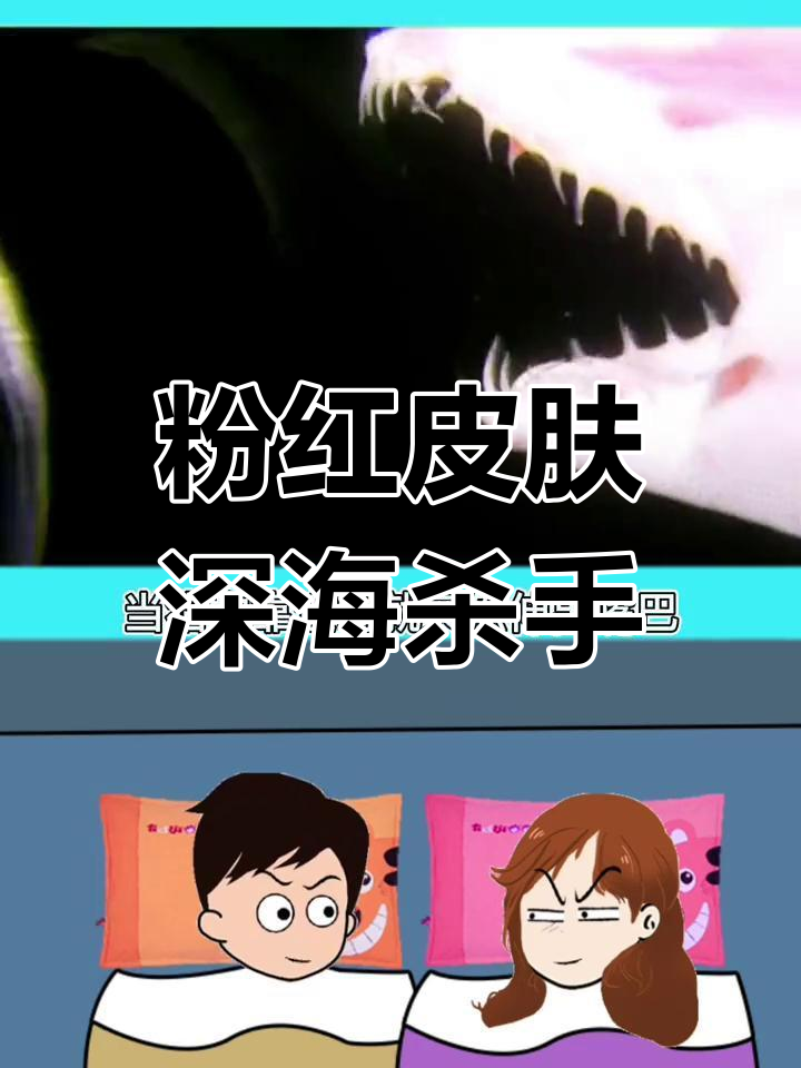 世界上最丑的鲨鱼:哥布林鲨