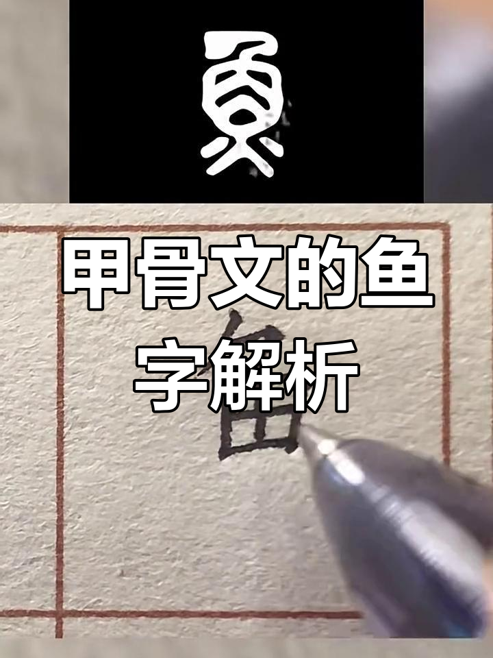 甲骨文中的鱼字:从形态到演变的秘密