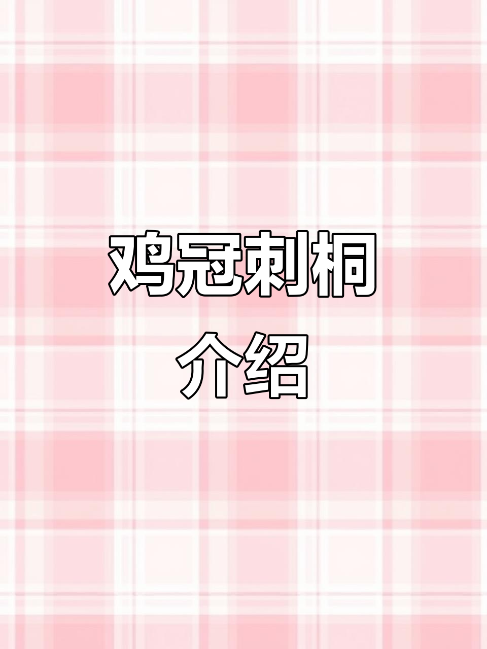 鸡冠刺桐：美丽而独特的热带花卉