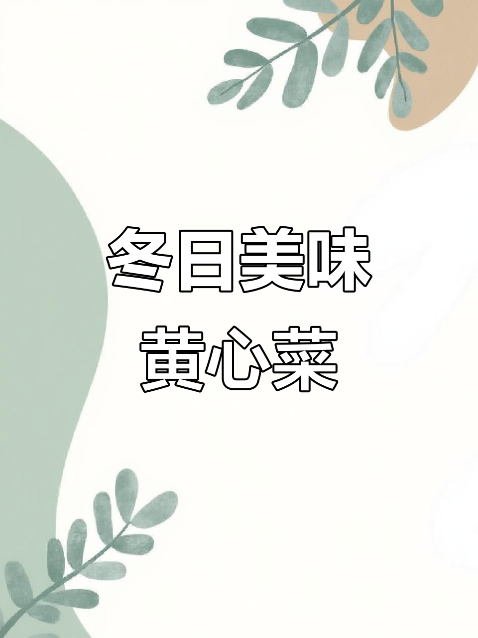 黄心乌塔菜,冬季也能种植,口感远超白菜!