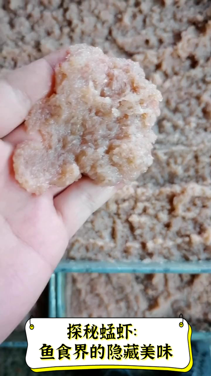 探秘蜢虾：鱼食界的隐藏美味