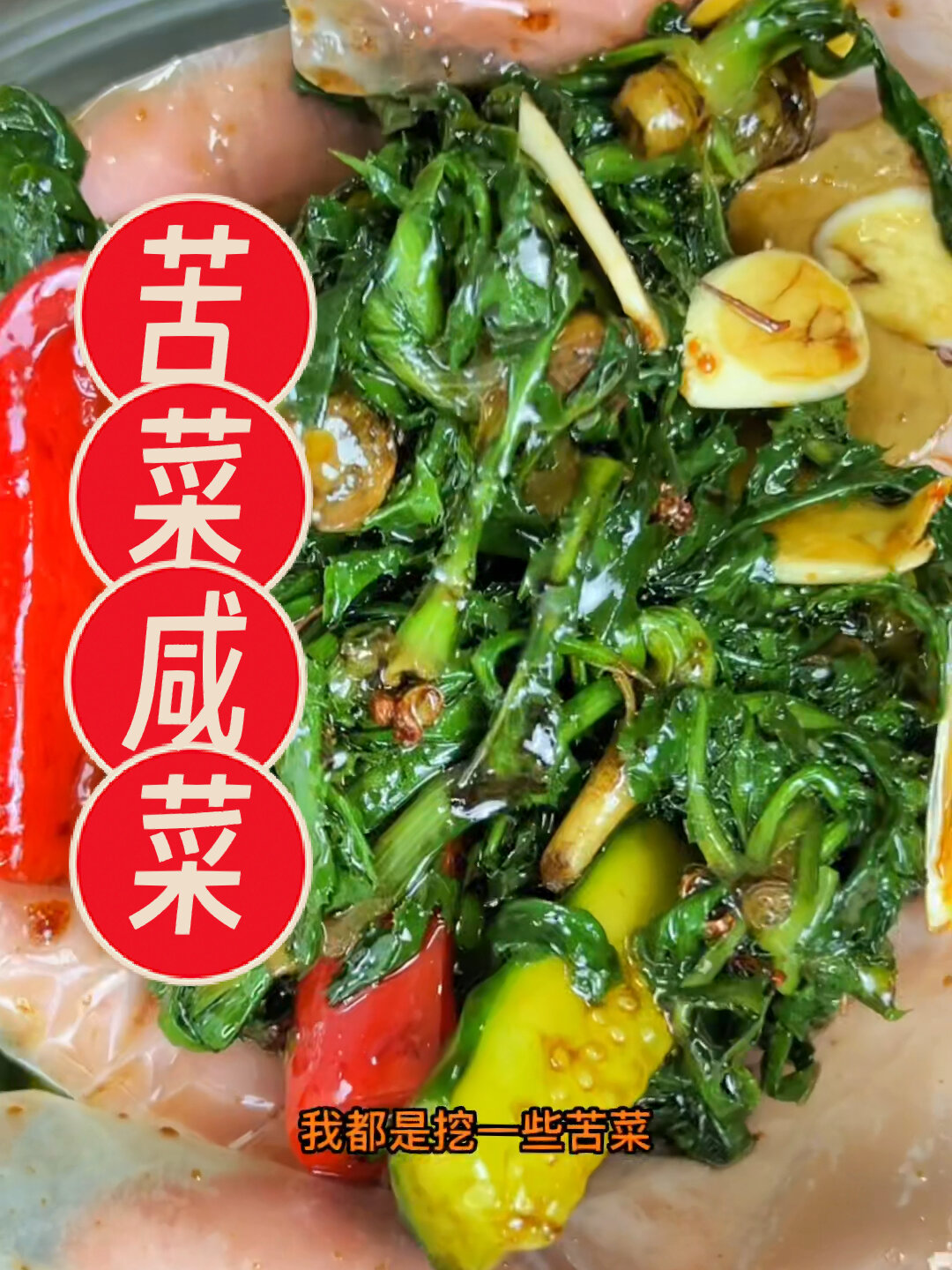 苦菜咸菜