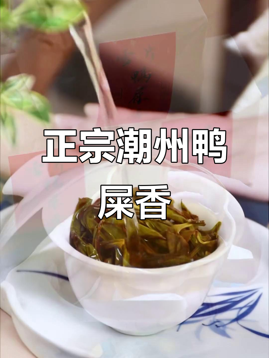 潮州六雪鸭屎香,香气扑鼻的乌龙茶体验