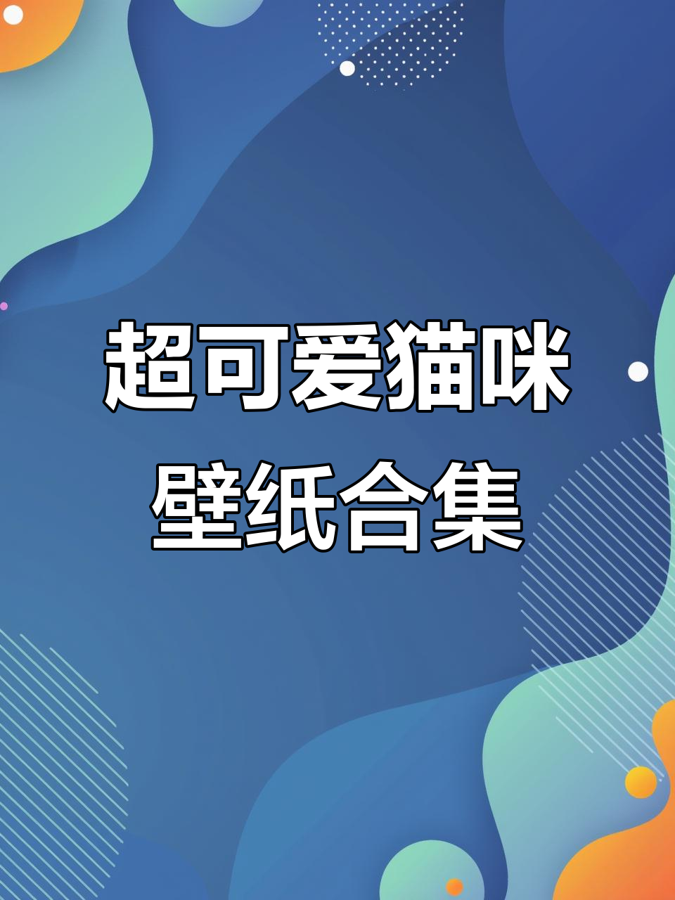 邓峰家的猫超高清壁纸大赏,萌态百出!