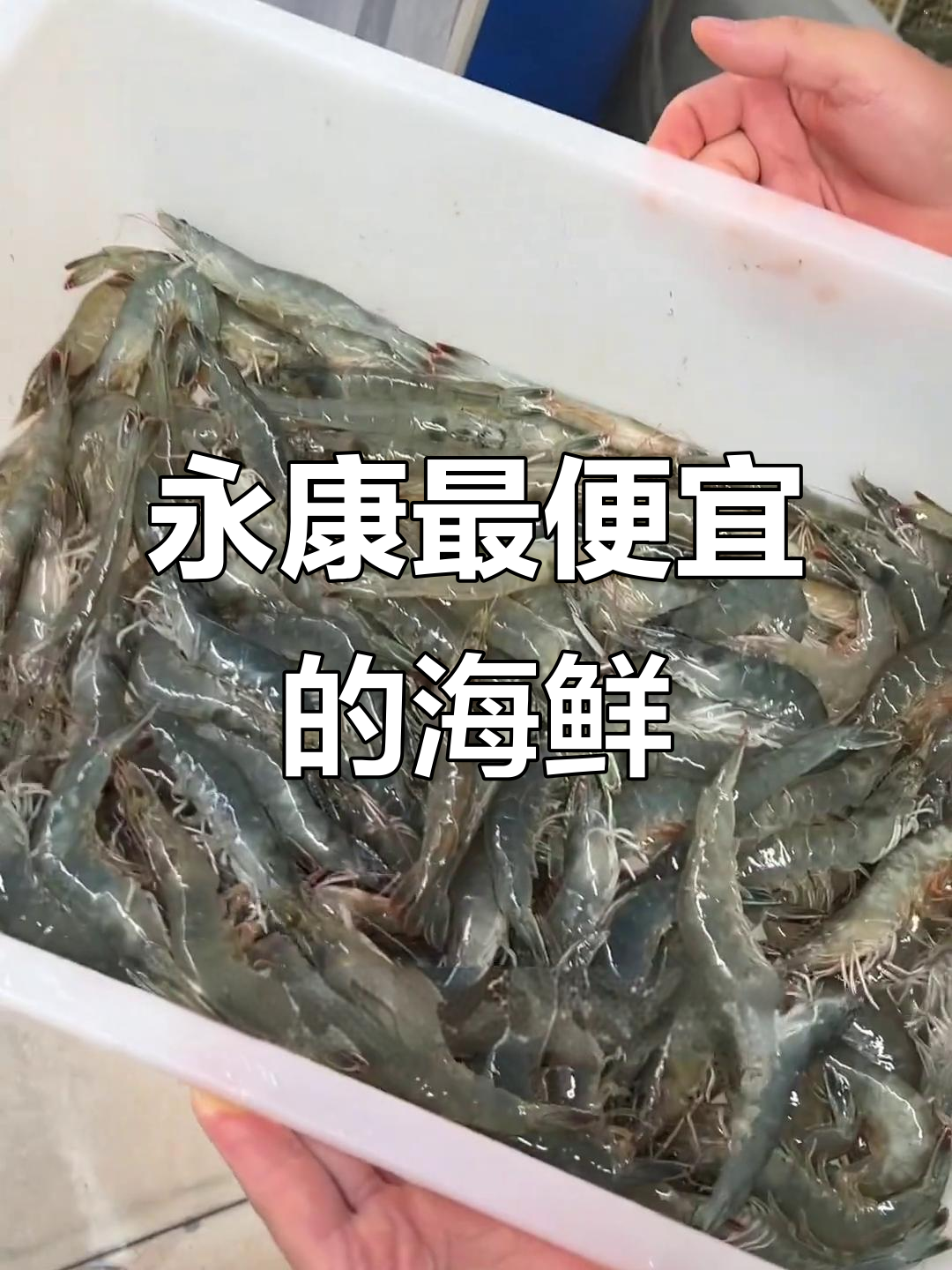 永康海鲜大揭秘!明虾、螃蟹超值优惠,快来看看吧