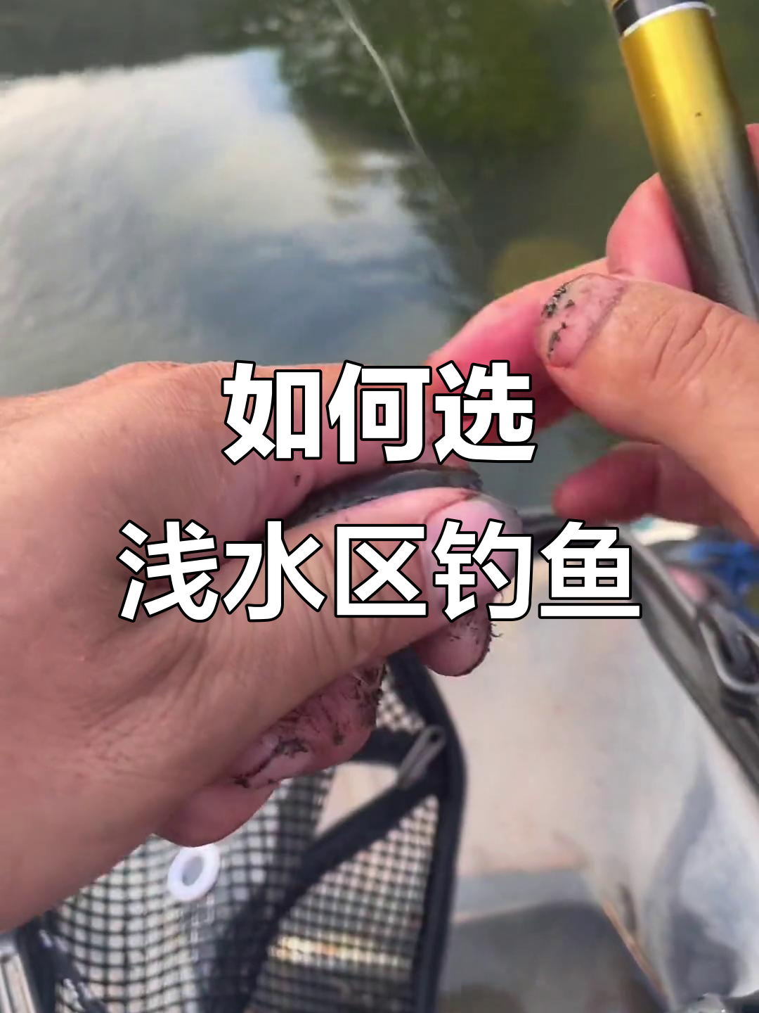 溪石斑钓法揭秘:如何选择浅水区做窝点