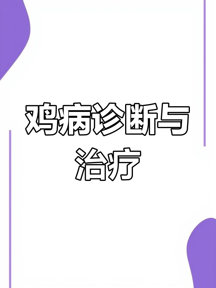 鸡支原体感染的诊断与治疗方法