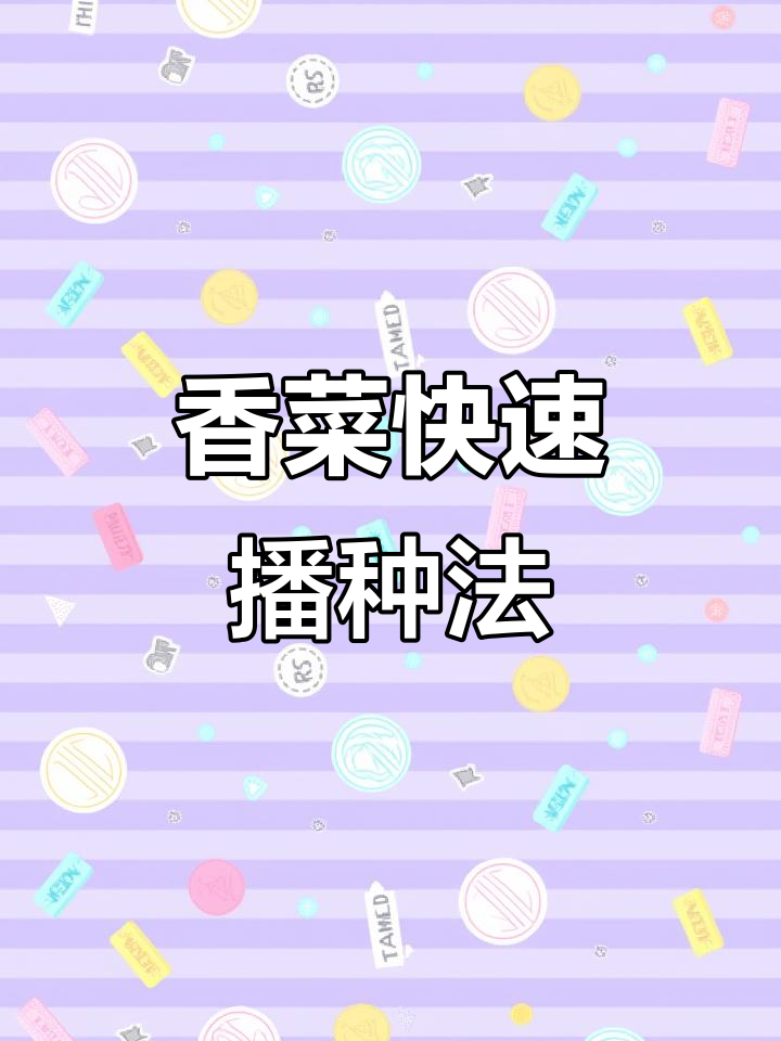 种植香菜前,先破壳处理种子,发芽更快,产量翻倍!