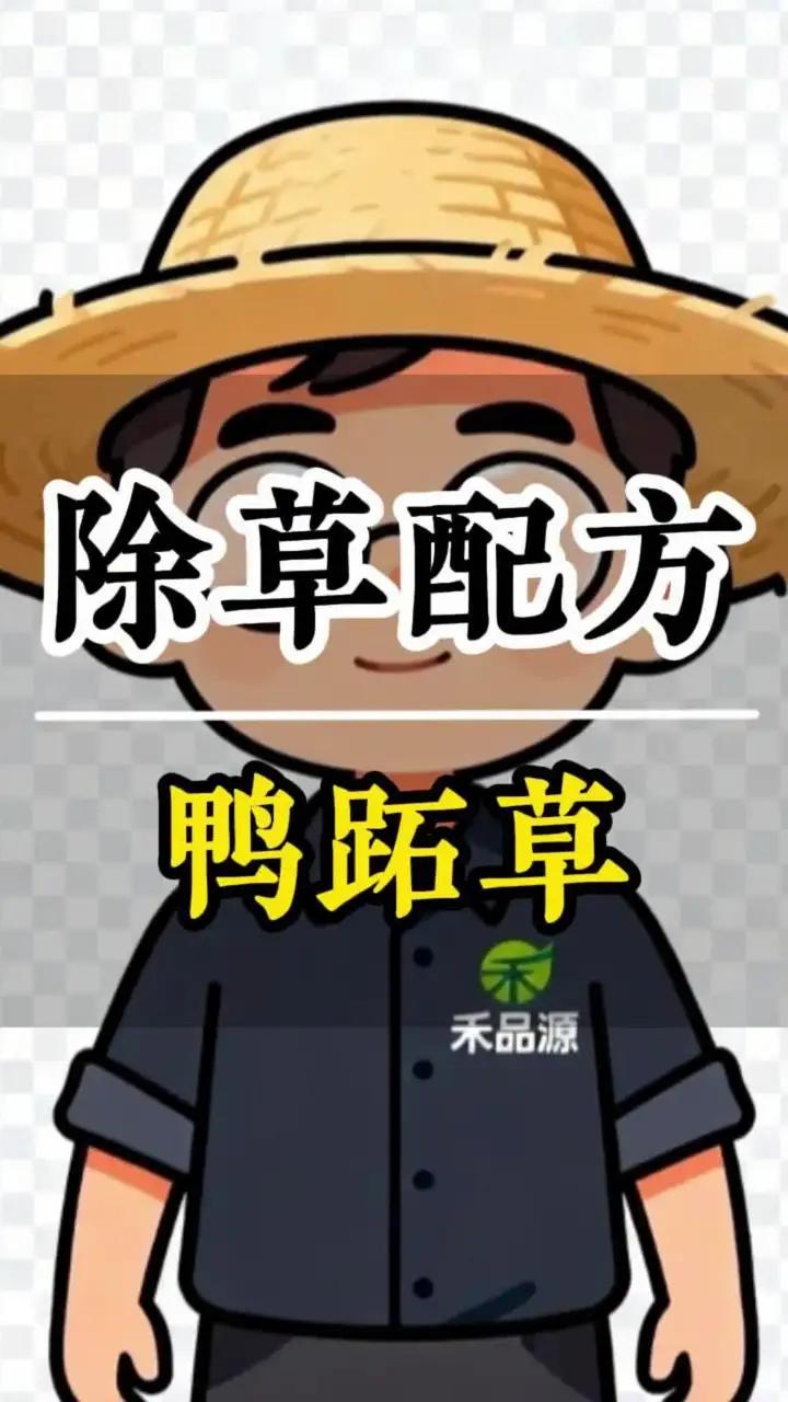 鸭跖草防除配方;鸭跖草,别名碧竹子、翠蝴蝶、淡竹叶等属于田间比较顽固的恶性杂草