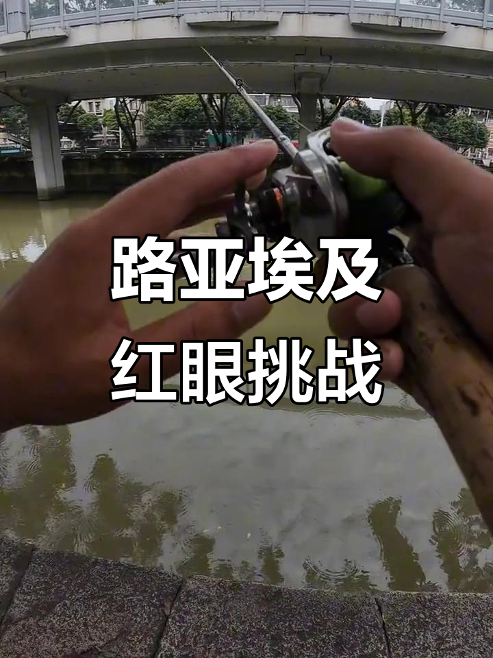 2024年5月17日沙面路亚挑战红眼技巧揭秘
