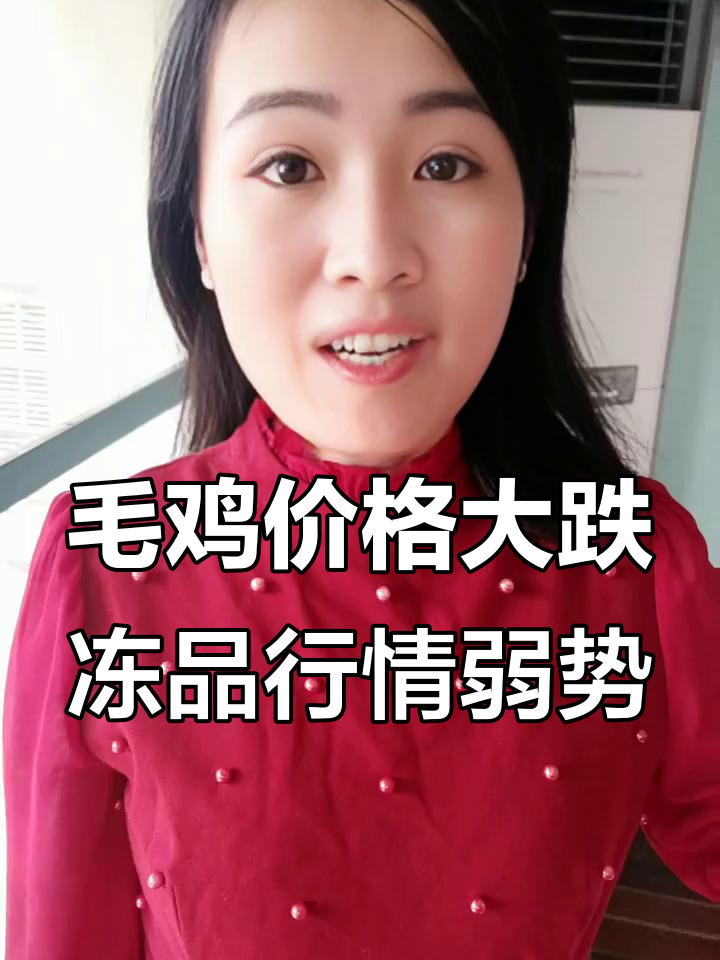 7月毛鸡价格持续下跌,冻品市场观望浓