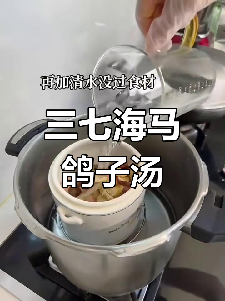 海马三七鸽子汤,滋补又美味
