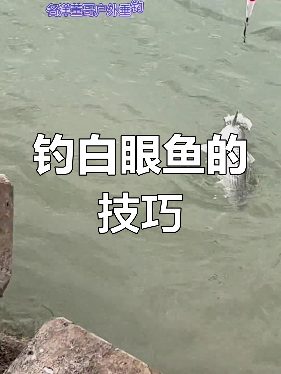 钓鱼技巧大揭秘:如何轻松遛鱼