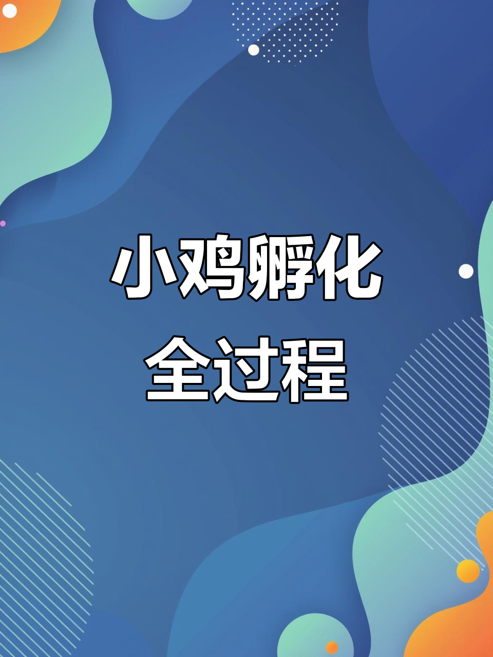 芦丁鸡成长全纪录:从蛋到可爱小鸡的蜕变过程