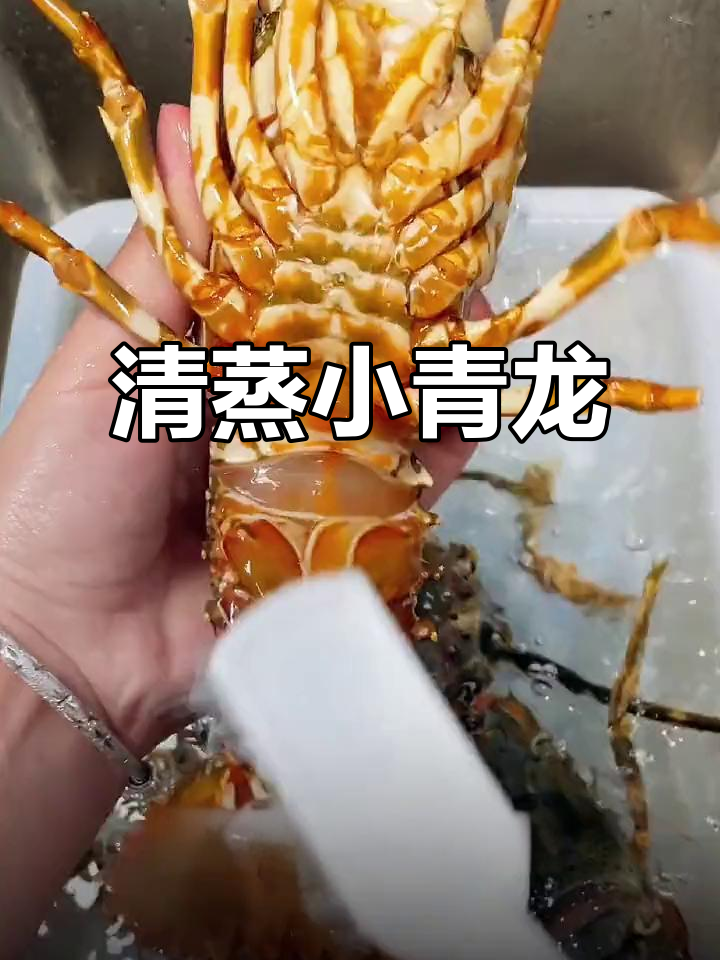 小青龙清蒸,姜片去腥,原汁原味鲜美无比
