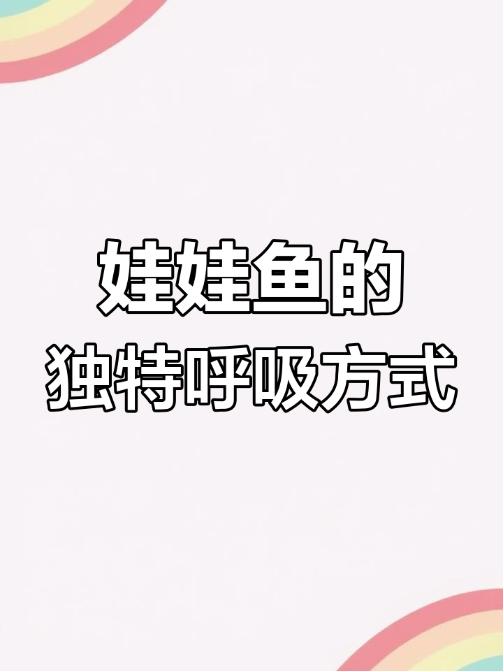 娃娃鱼幼体与成体的呼吸差异