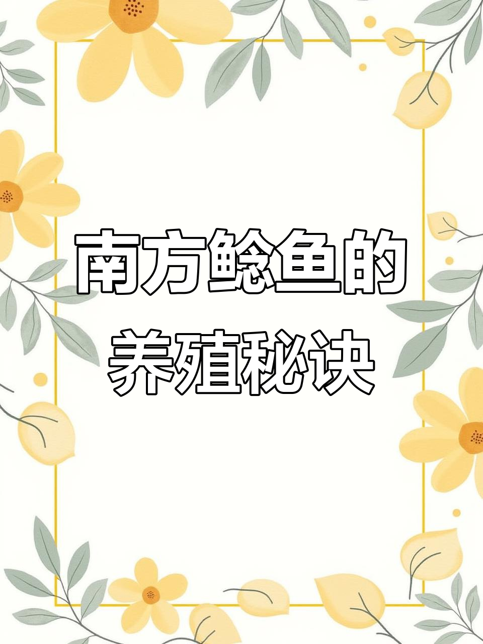 南方鲶鱼,短养几个月即可上市,冬季也能存活