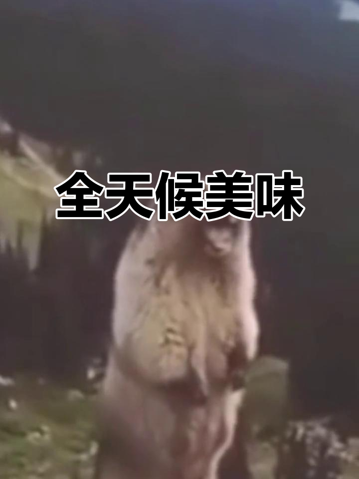盼盼面包,随时吃,满足一天不同时刻的味蕾需求!