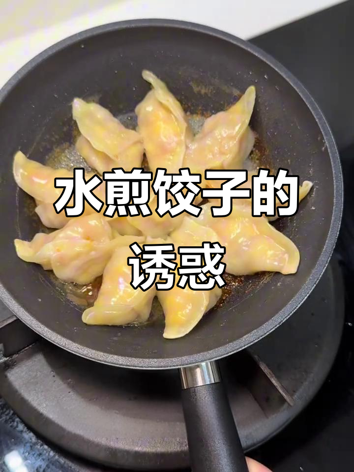 独享美味，水煎饺子香气扑鼻，一人食也能超满足！