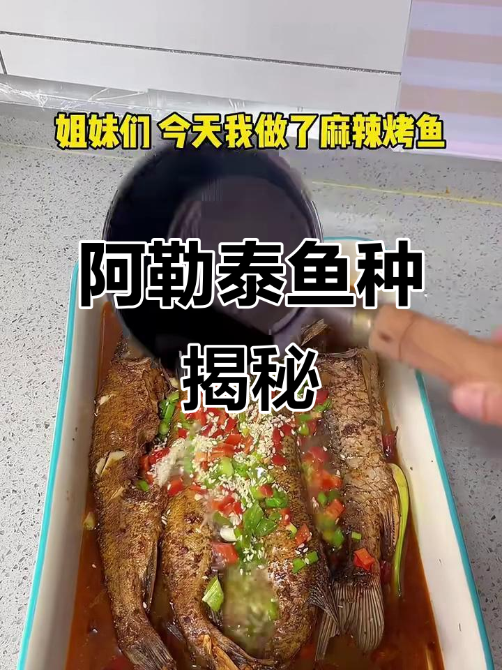 探秘阿勒泰额尔齐斯河的神秘鱼类