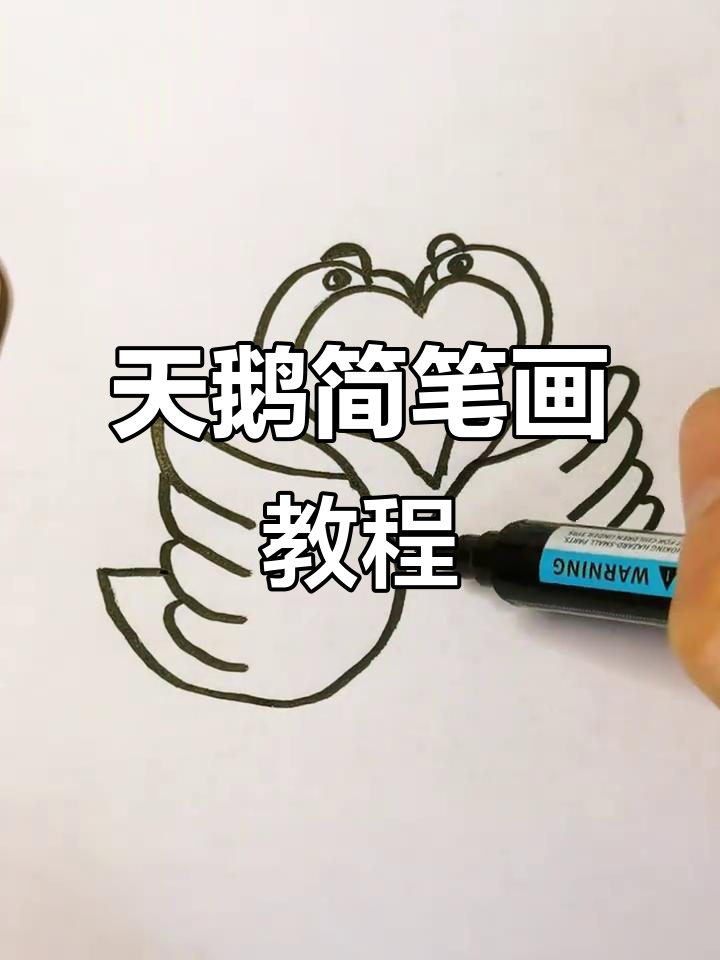 轻松画出可爱天鹅,步骤简单又有趣