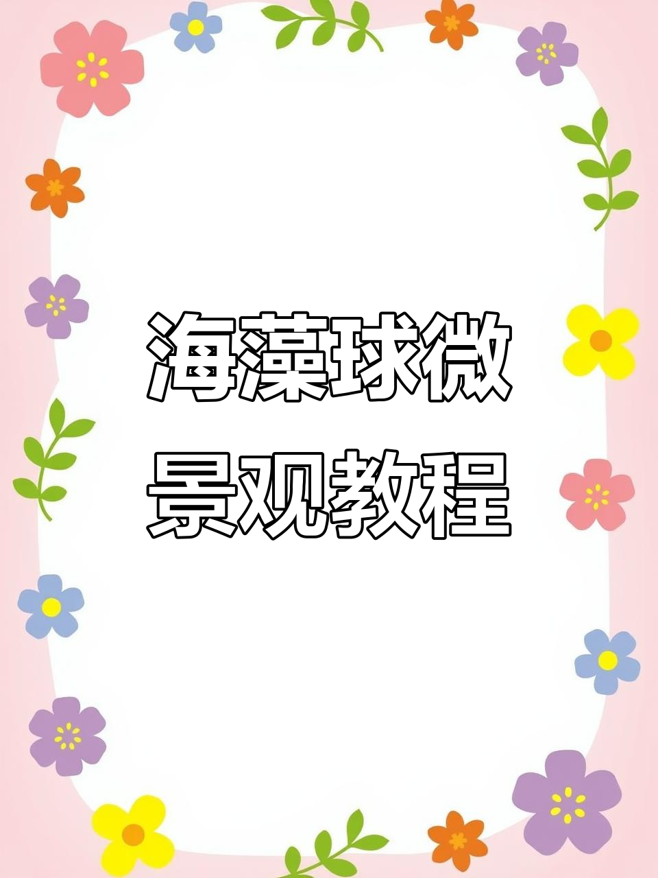 幸福海藻球微景观生态瓶制作教程,轻松入门