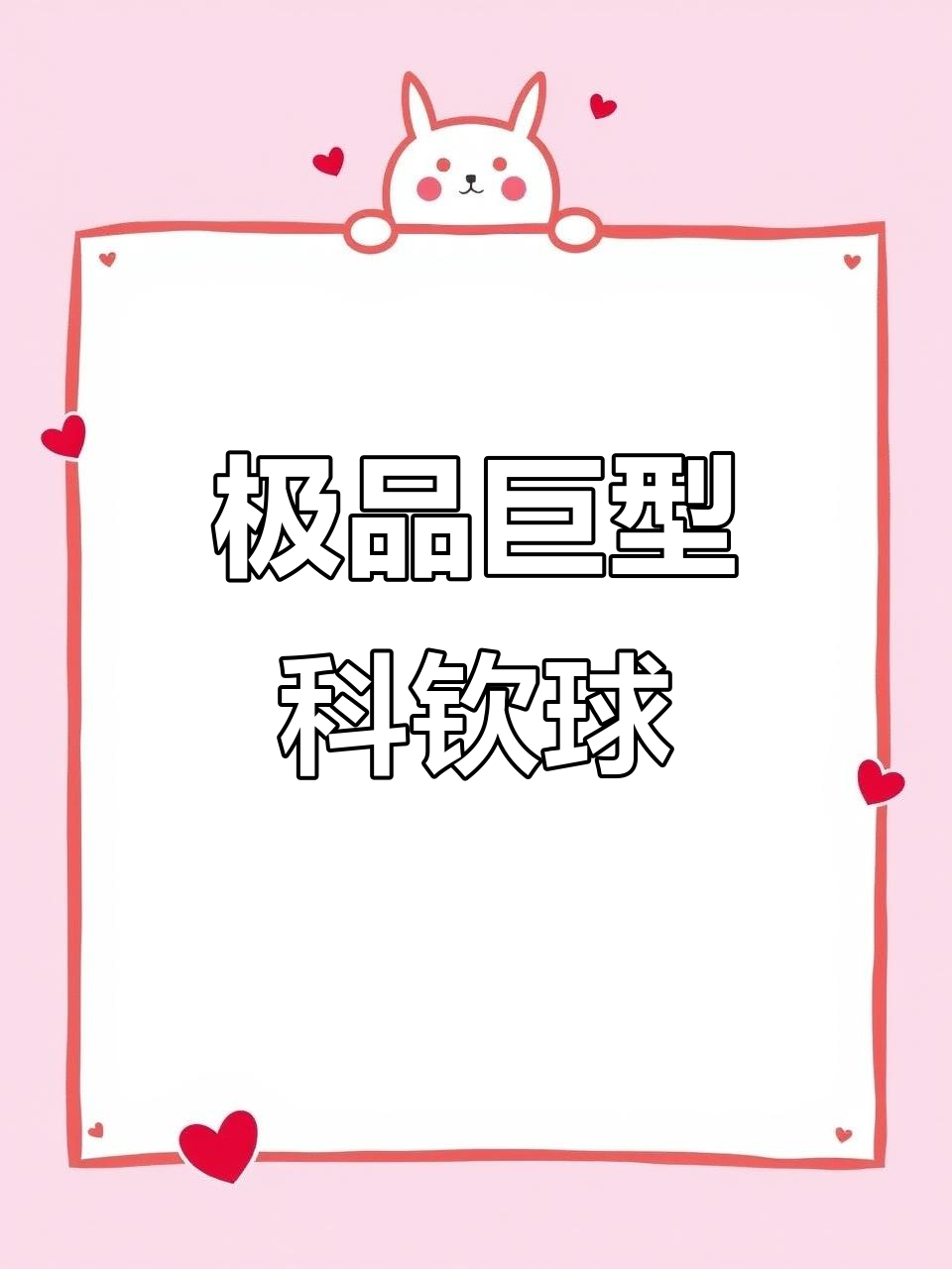 巨型科钦球种鸡亮相,公母配对成年展示