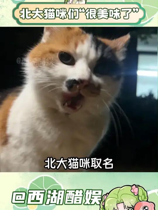 大学生很会取名的