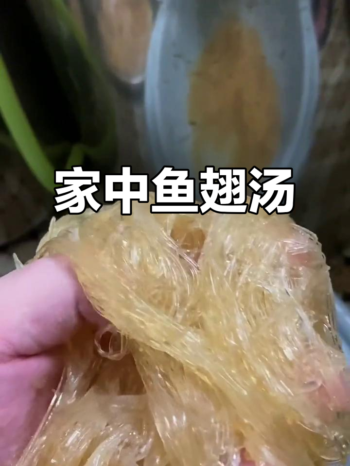 泡发鱼翅,搭配高汤,轻松做出家庭美味鱼翅汤!