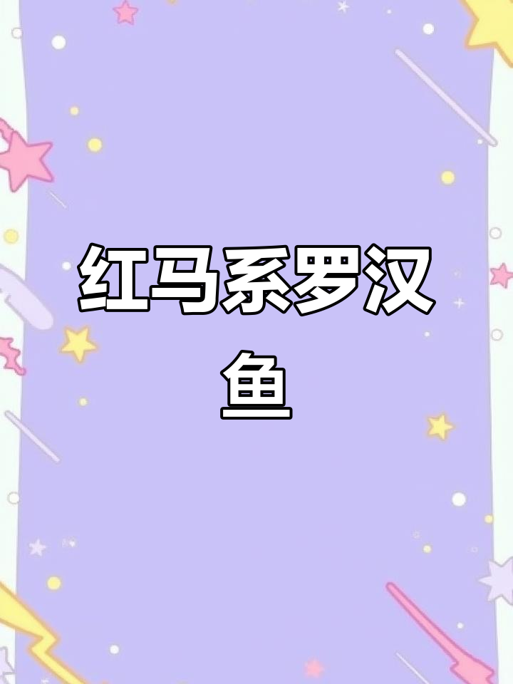 罗汉红马天花板，终极梦想鱼种揭秘