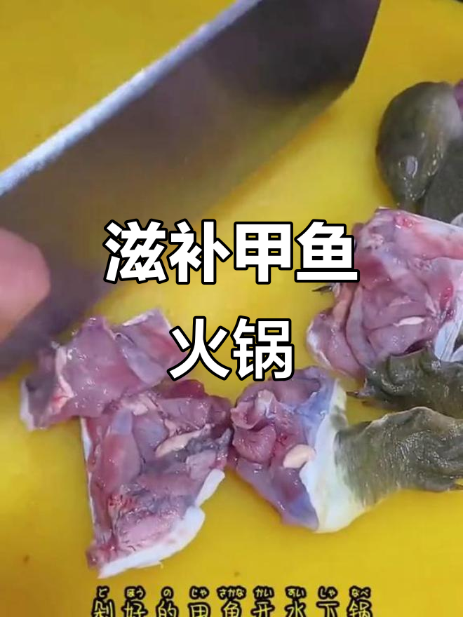 甲鱼火锅,川味十足,滋补美味尽享