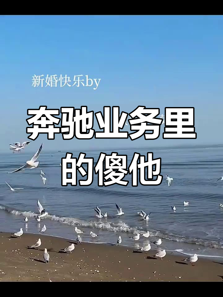 先婚后爱,奔驰业务中的傻他