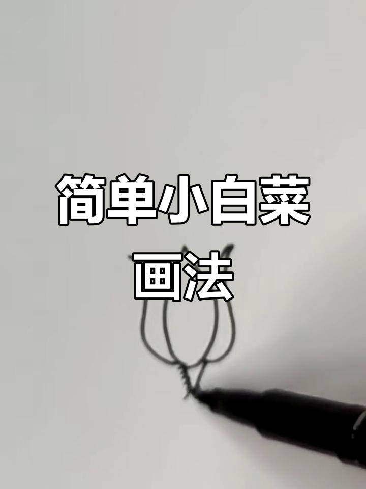 小白菜简笔画,轻松学会!