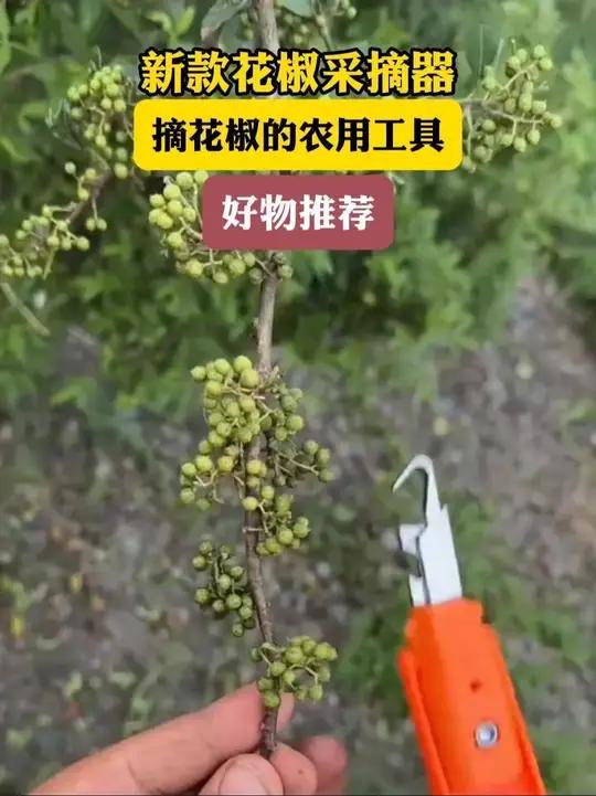 新款花椒采摘器,摘花椒采摘剪刀,摘花椒的农用工具生活好帮手实用好物巨量千川。新款花椒采摘器