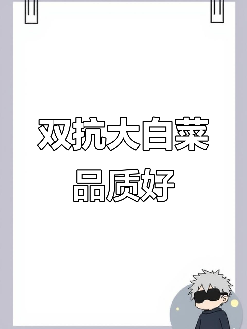 这款大白菜抗根肿病，冬季必备！炒菜炖汤都好吃