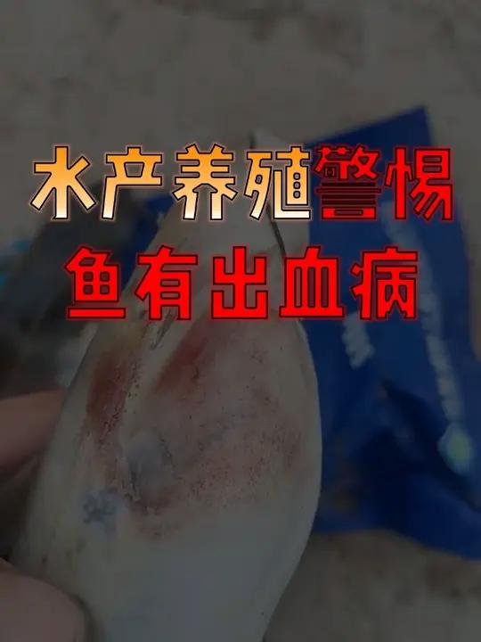 预警!鱼出血病+烂身高发!大家要提前做好防范!
