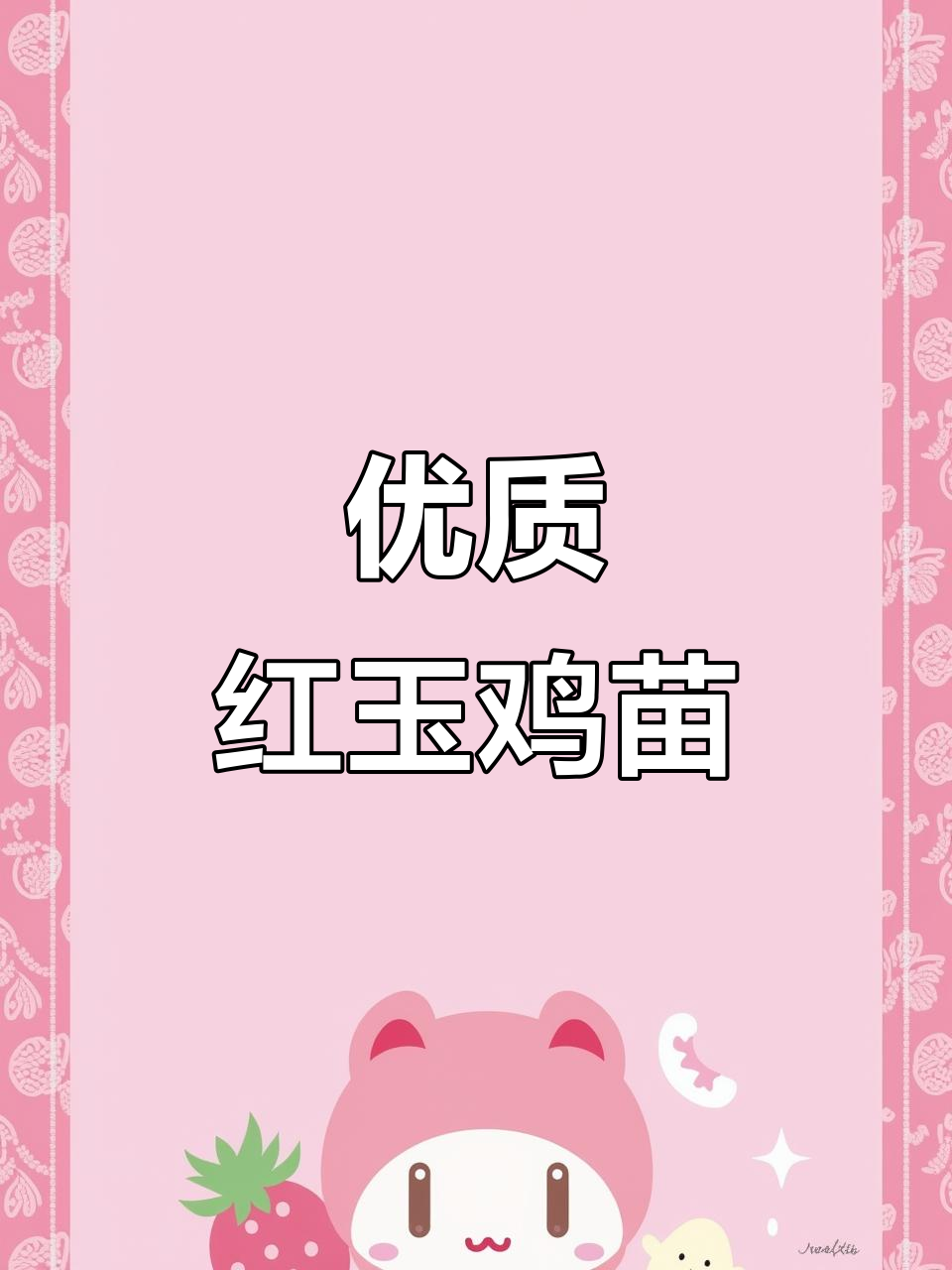 红玉鸡苗:抗病强、肉嫩味美,500只起发,养殖技术全包教