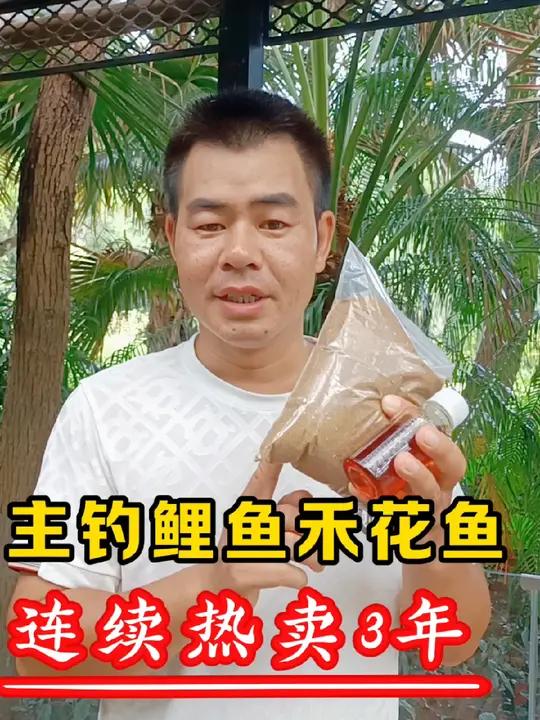 正是钓鲤鱼,禾花鱼的最佳季节 原创作品