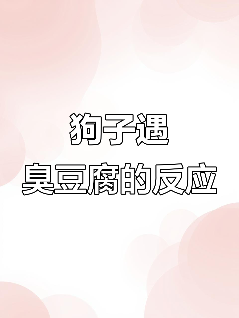 金毛遇到臭豆腐,表情超搞笑