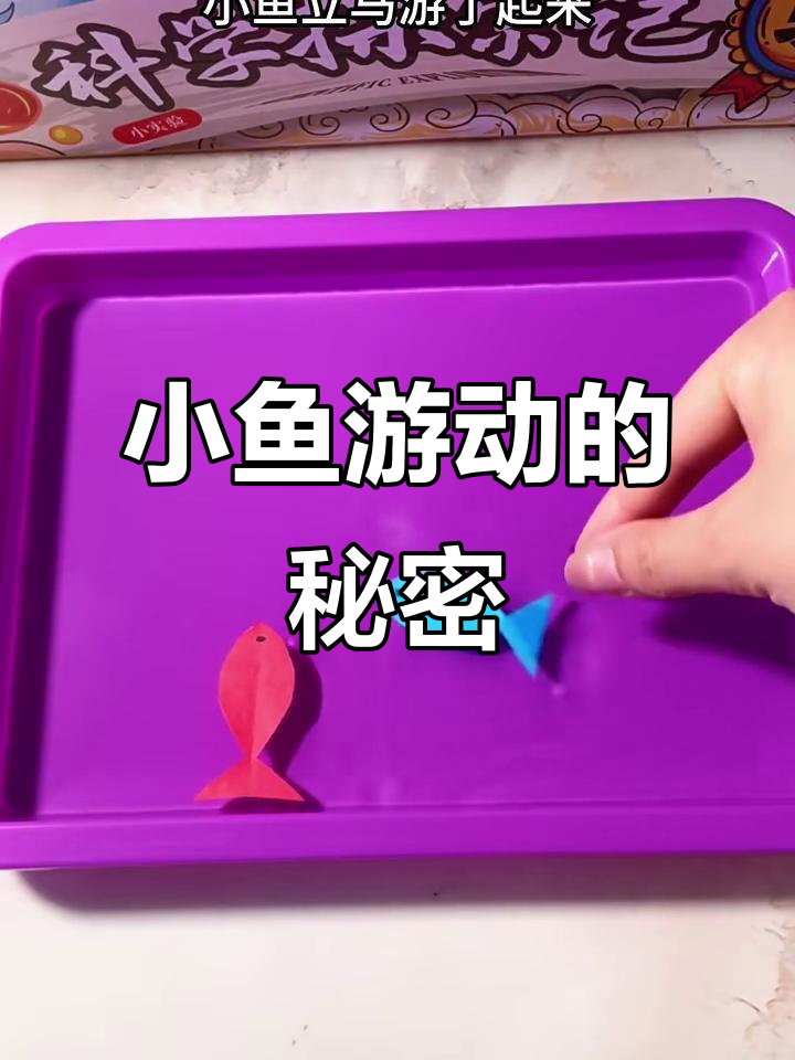 只需洗洁精,小鱼就能游动!科学小实验揭秘原理