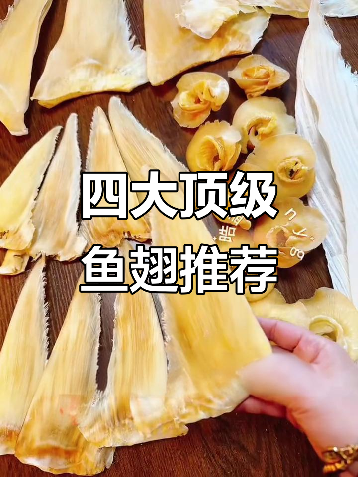 四款热门鱼翅大揭秘:海虎刺、金钩刺与牙拣翅的独特魅力