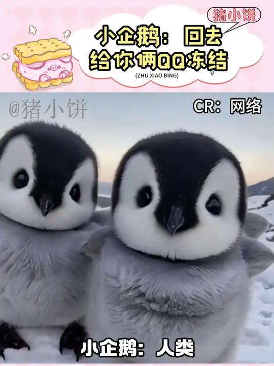 小企鹅:回去就给你俩QQ冻结!