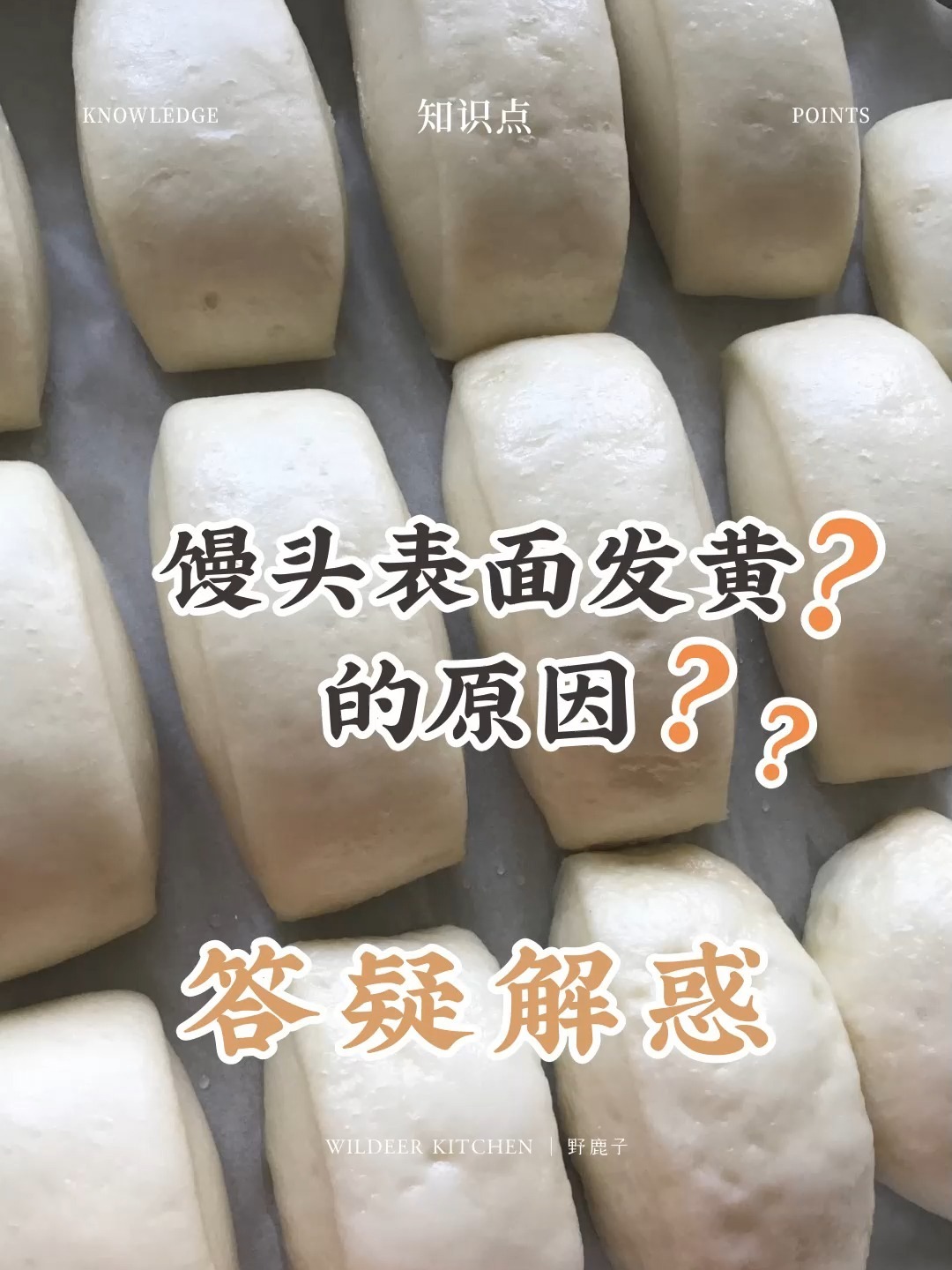 指南露 I 馒头的表面发黄的原因是什么呢?
