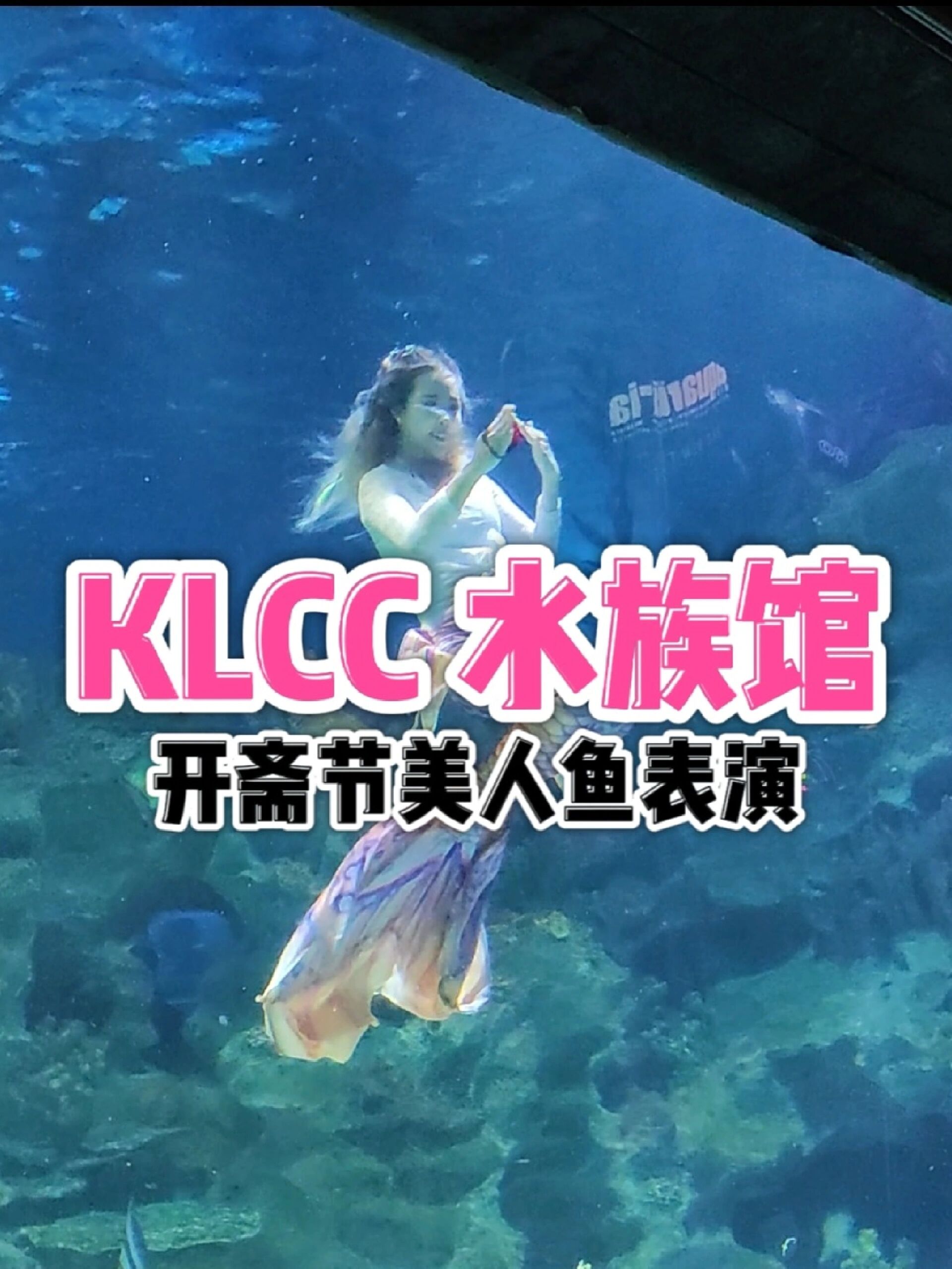 KLCC 水族馆|美人鱼表演