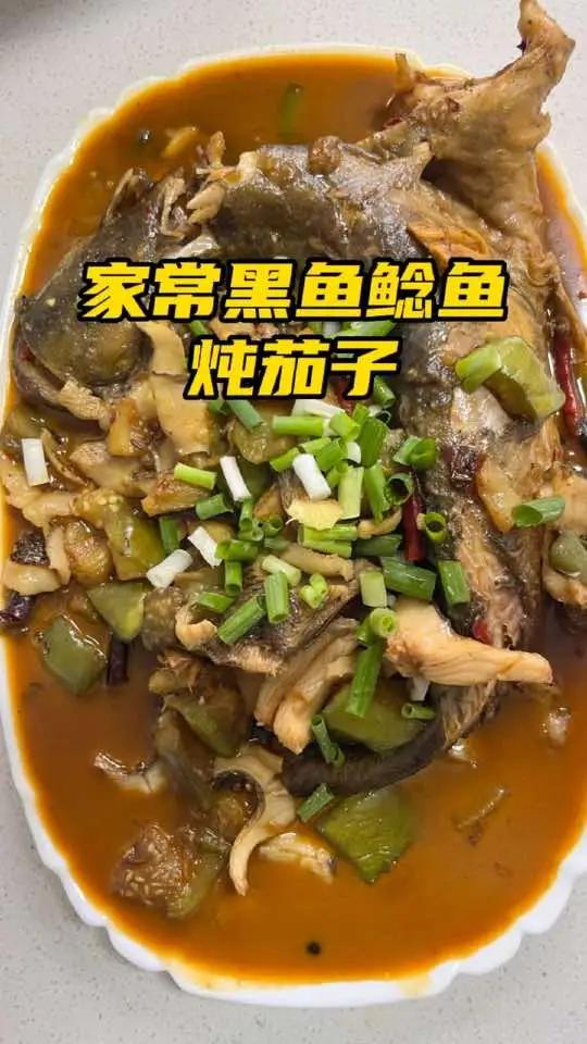 黑鱼的100种吃法—4 家常黑鱼鲶鱼炖茄子 雷强打黑必学教程 手把手教你做黑鱼美食!黑鱼的